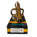 Rowchi door lock set. big size-gold in colour