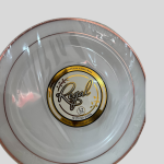 Maryland Plastics Regal collection 10.25 inch plastic dinner plates with a silver-colored trim. 12Pcs