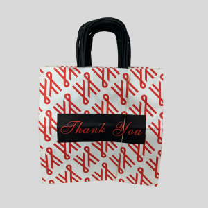 Thank you Paper Gift Bag 25Pcs