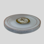 Maryland Plastics Regal collection 10.25 inch plastic dinner plates with a silver-colored trim. 12Pcs