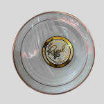 Maryland Plastics Regal collection 10.25 inch plastic dinner plates with a silver-colored trim. 12Pcs