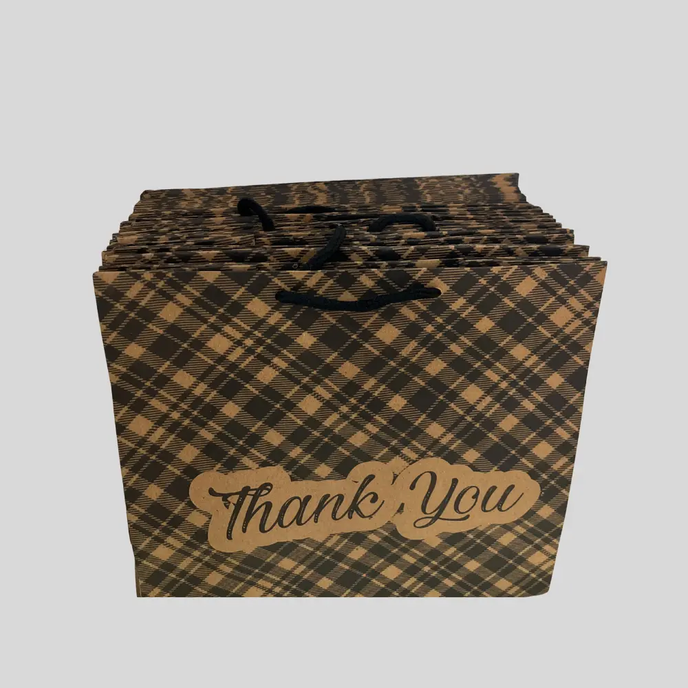 Thank You kraft Paper Gift Bag (50 pieces)
