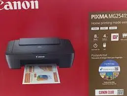 Canon PIXMA MG2541S All in One Printer