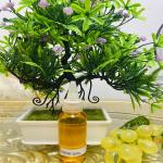 Good Girl 100% Undiluted Perfume Oil (50ml,100ml,250ml,500ml,1kg,5kg)