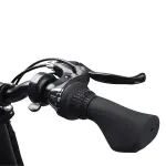 MATE X Foldable Electric Bike Black Color